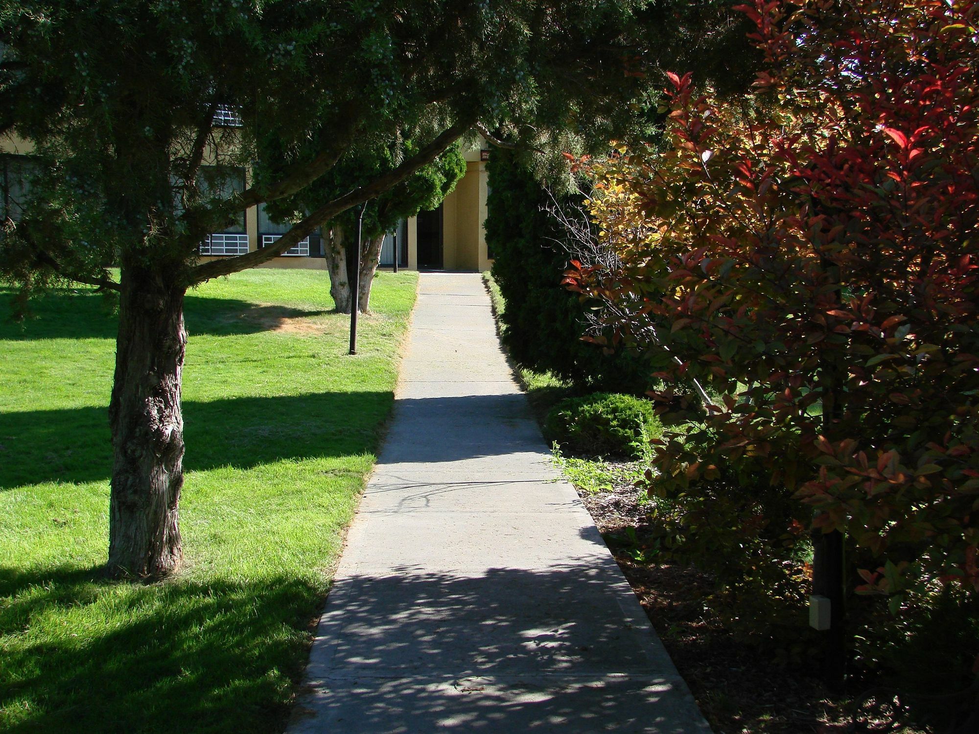 איידהו פאלס Econo Lodge Near Snake River מראה חיצוני תמונה